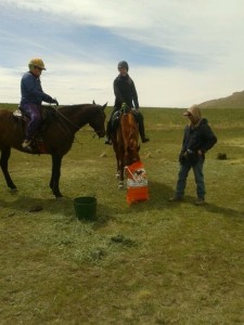 Antelope Island Endurance